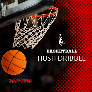 Hush Dribble - Silent High Density Basketball